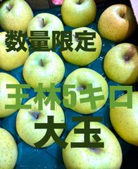 秋田県産りんご　王林5キロ