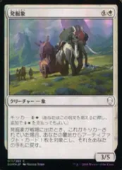 2025年最新】発掘 foilの人気アイテム - メルカリ