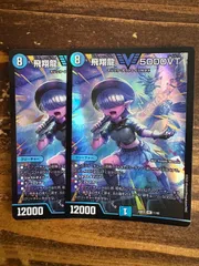 2025年最新】飛翔龍5000vt 2枚の人気アイテム - メルカリ