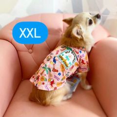 【D's CHAT (ディーズチャット) 】南国柄背開きシャツ XXL 犬服 夏服 アロハシャツ