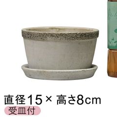 【新品】直径15cm 植木鉢 セメントポット リト おしゃれ 丸浅型 皿付 室内 屋内 多肉植物 小さい鉢