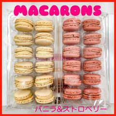 洋菓子　冷凍マカロン　バニラ&ストロベリー　2種類セット　冷凍食品　スイーツ