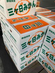 訳ありお値打ち　みかん約4ｋｇ入り（三ヶ日・浜名湖・蒲郡）1ケース（サイズは大きめ3Ｌ）