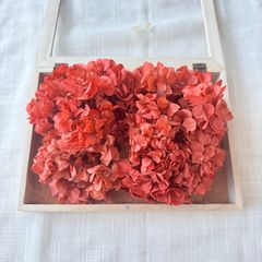 プリザーブドフラワー アジサイ 約13g (ワインレッド)  みちのく 未使用品 ひめあじさい 紫陽花 ヘッド