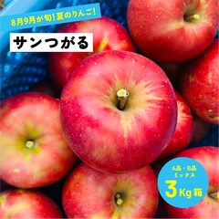 8月21日から9月15日発送 指定日不可「サンつがる3キロ箱A品B品」 農林水産大臣賞 長野県産 安曇野 信州産 産地直送