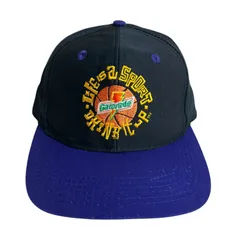 90s Gatorade 6パネルキャップ ゲータレード 企業 usa 90's Gatorade Embroid Logo Snap Back Cap | Sanroku Base Studio