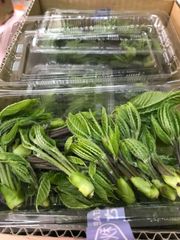 おいしい野菜研究室様