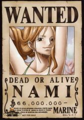 ワンピース ナミ Wanted ポスター ワンピースマガジン 付録 手配書