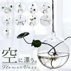 ☆ 掛け花瓶 najshb0701 吊り下げ 花瓶 一輪挿し フラワーベース ガラス 花びん 花器 壁掛け ハンギング コンパクト 小さめ 透明 クリア 涼しげ 天井 窓 リビング インテリア 水耕栽培 生花 造花 おしゃれ オシャレ