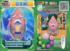 円堂守伝説 妖怪ウォッチ真打 ポケモンXD + (コレクションケース付き