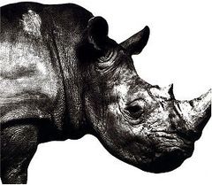 (CD)Mr.Children 1992-1995／Mr.Children