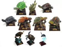 2026年最新】ニホンスッポン ネイチャーテクニカラーの人気アイテム