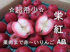 ☆超希少品種☆果肉まで赤～いりんご『栄紅』☆特A品☆5kg