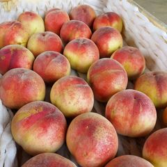 ふくしまの桃🍑　家庭用　３キロ箱　品種おまかせ