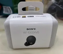 2025年最新】sony wf1000xm5の人気アイテム - メルカリ