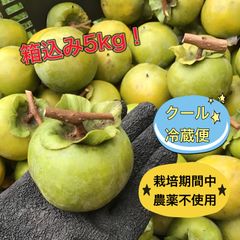 柿《クール冷蔵便♪》愛媛県産