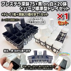 プレステラ深鉢75(硬質スリット深型ポット2号深鉢相当)黒・白20鉢＋四角型ハーフ標準型トレイセット×1セット＊多肉植物・塊根植物コーデックス・アガベ・サボテン・観葉植物・ハオルチア・アデニウム・パキポディウム・実生＠フラワーショップ江口