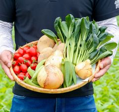 常笑ファームのMUGENVegetable詰合せセット