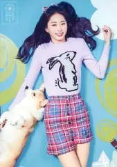 【中古】キャラカード ツウィ(寝転びアート/犬・目開け) ランダムトレーディングカード 「TWICE DOME TOUR 2019 “#Dreamday”」