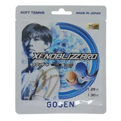 2025年最新】悪エネルギー ブリザードの人気アイテム - メルカリ
