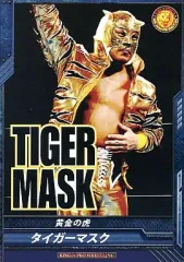【中古】キング オブ プロレスリング BT01-045[C]：[コード保証無し]タイガーマスク