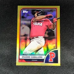 2024年最新】topps 2023 world baseball classic global stars hobbyの 