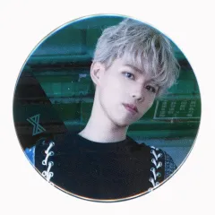 【中古】バッジ・ピンズ kradness 缶バッジ 「XYZ TOUR 2018」 缶バッジくじ景品