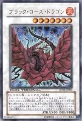 【中古-非常に良い】 遊戯王カード ブラック・ローズ・ドラゴン DT04-JPB01UR