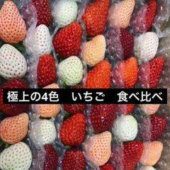 いちご　苺　4色　食べ比べ