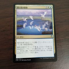 い*ン様 MTG 貪欲なるベイロス サインド 日本語版4枚 ONS オンスロート 貪欲なるベイロス/Ravenous Baloth》[C13] 緑R | 日本最大級 MTG