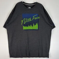 古着 ザ・ノースフェイス THE NORTH FACE 半袖Tシャツ プリント 大きいサイズ クルーネック XL  グレー メンズ