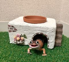 爬虫類　シェルター　階段つき