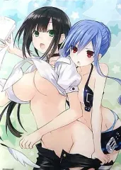 【中古】タペストリー [単品] ハーラー＆エフォール 描き下ろしB2タペストリー 「PS3ソフト フェアリーフェンサー エフ リミテッドエディション ファミ通DXパック」 エビテン限定同梱特典