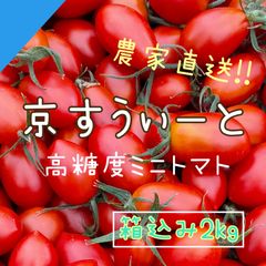 【京すうぃーと2kg】京都産 高糖度 フルーツミニトマト 箱込み2㎏