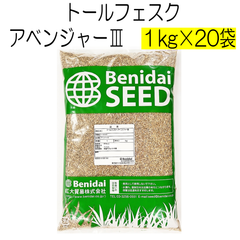 トールフェスク種子　アベンジャーⅢ　20kg【種】紅大貿易　芝の種　芝生の種　寒地型　西洋芝