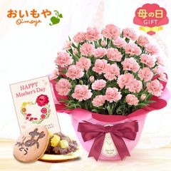 【おいもや公式】母の日限定 5号 カーネーション【感謝の気持ち・ピンク】 どら焼き スイーツ 和菓子 お菓子 鉢植え プレゼント 生花 花 ピンク おしゃれ かわいい (お届け時期:5/5～11のいずれか)