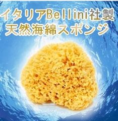 Item thumbnail for item a56885a7-0160-453f-916a-c3b04ed049f3