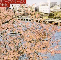 2025年最新】サニーデイ・サービス 東京の人気アイテム - メルカリ