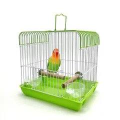 2024年最新】手 乗り インコ 販売の人気アイテム - メルカリ