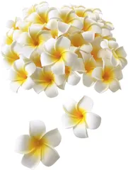 Xiangdingg プルメリア 造花 花のみ ハンドメイド DIY用品 飾りつけ 装飾 アクセサリー ホワイト 4cm 30個