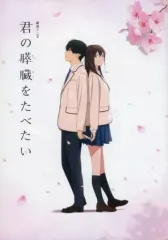 君の膵臓を食べたい パンフレット Amazon.co.jp: 君の膵臓を食べたい パンフ&チラシ2種高杉真宙