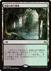 ZEN 新緑の地下墓地　英語　4枚セット　初版 ゼンディカー　MTG 2025年最新】新緑の地下墓地の人気アイテム - メルカリ