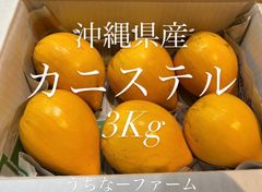 沖縄カニステル 3Kg