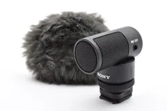 ソニー ECM-G1 [ショットガンマイクロホン] 中古品 2025年最新】sony ecm-g1の人気アイテム - メルカリ
