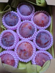 miki様専用クール便