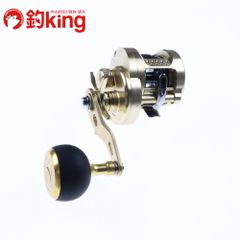 ダイワ 21 シーボーグ 300J /T006M 未使用 泳がせ 落とし込み 船釣り  