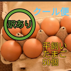 訳あり　平飼い卵　10個入り5パック　国産もみじの卵　新鮮　産みたて　クール便