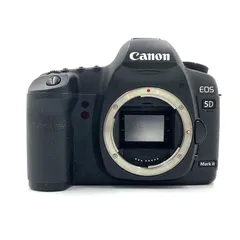 美品】キャノン Canon EOS 5D Mark II《S数1594回》