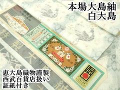 平和屋着物□上質な小紋 飛鳥草花文 鬼しぼ縮緬 正絹 逸品 CAAP0083fb 