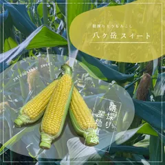 2025年最新】八ヶ岳手塚農園の人気アイテム - メルカリ